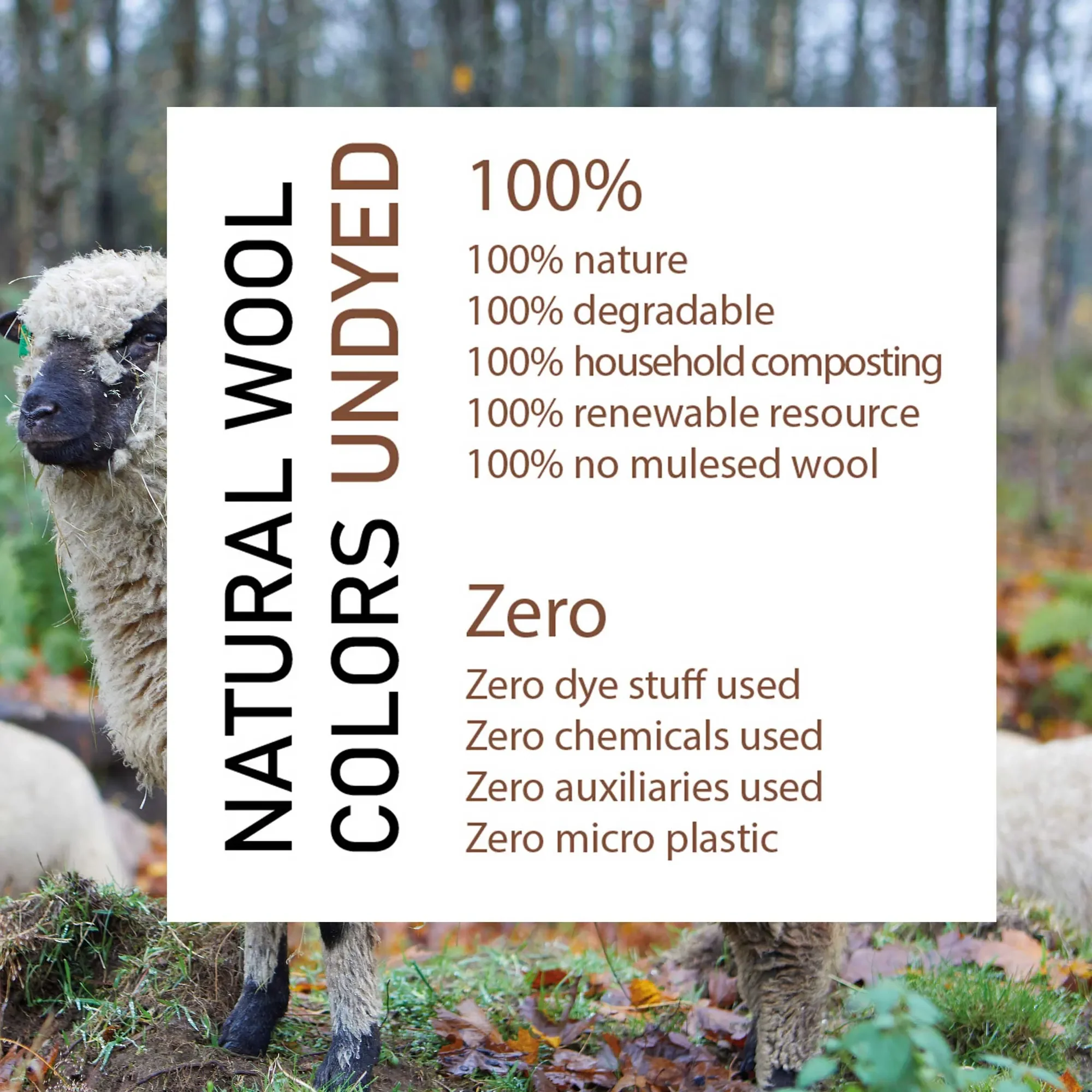 NLS MARIGOLD, 100% OFÄRGAD ULL — NATURAL WHITE - Image 4